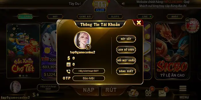 Thông tin tài khoản người chơi tại cổng game