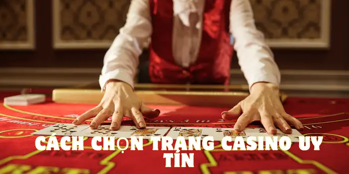 Cách chọn các trang nhà cái caisno uy tín